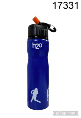 Imagen de BOTELLA TERMICA CON PICO 600ML 3.26